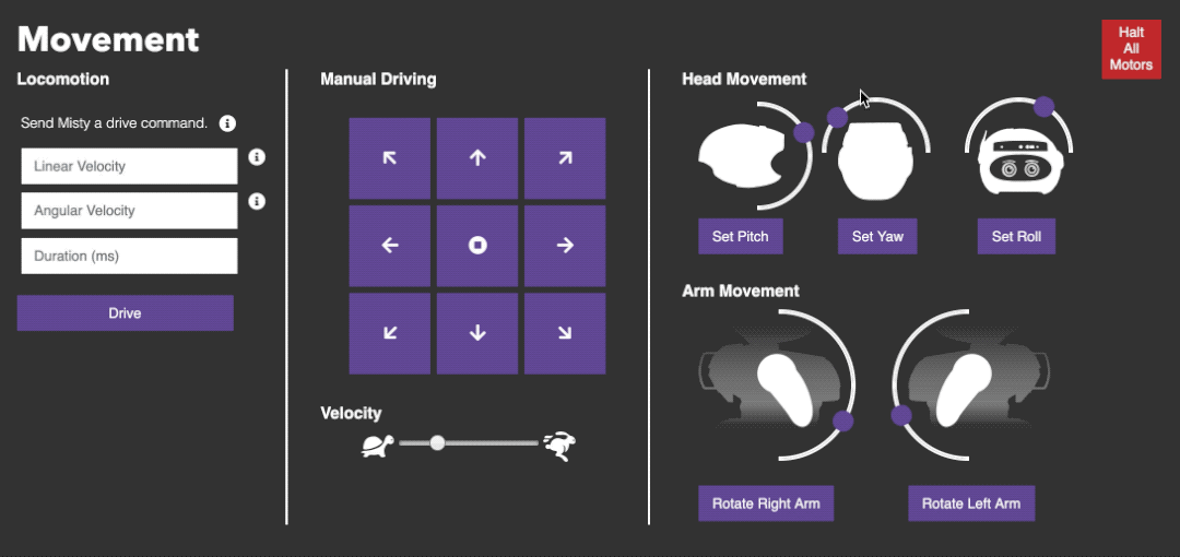 Command Center head and arm movement controls