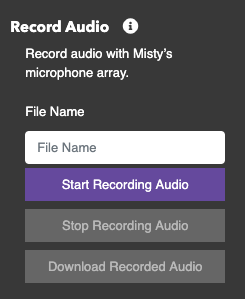 Record audio controls